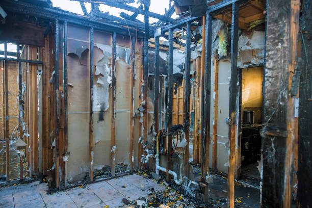Professional Fire Damage Removal technician working in Webster, MN
