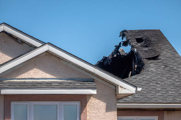 Top rated local Fire Damage Removal specialists in Webster, MN